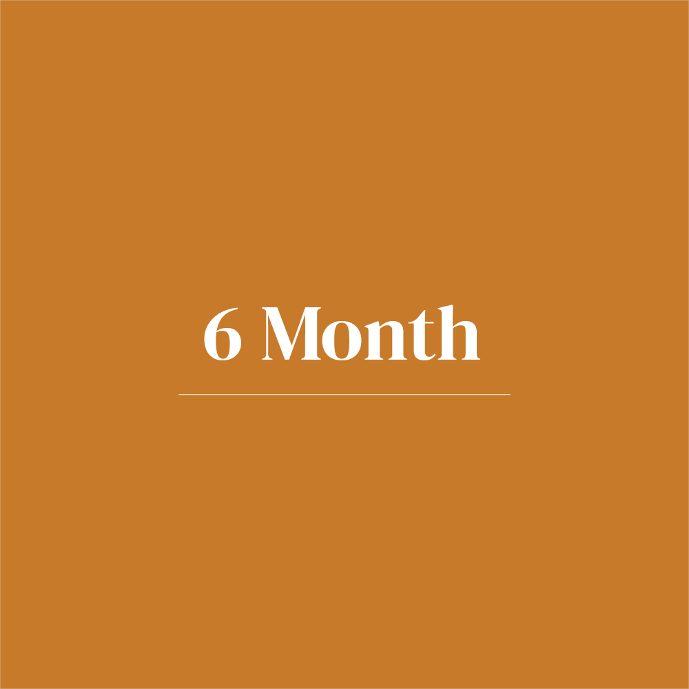 6 Month Subscription - Yallah Coffee