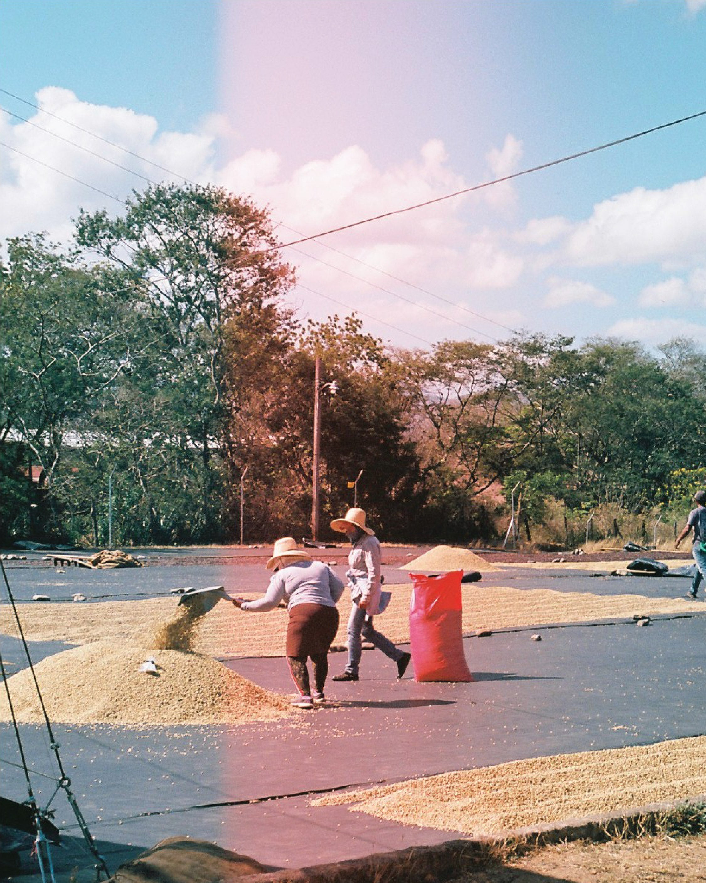 Explore, - Yallah Coffee, BETHANIA