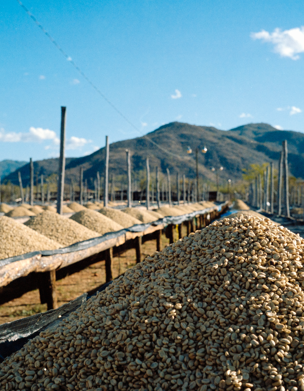 House Espresso, Nicaragua