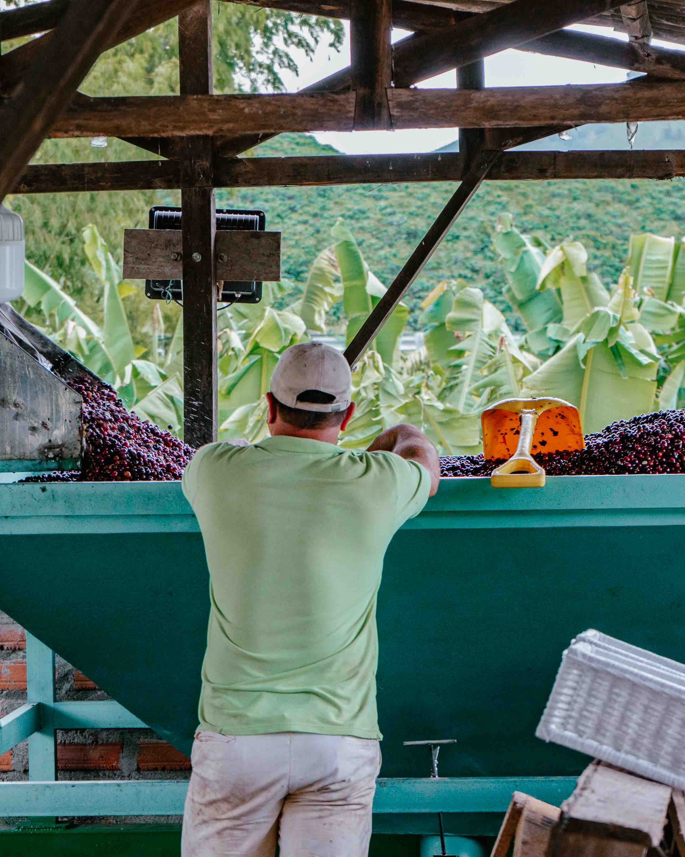 Villamaria, Colombia - Yallah Coffee