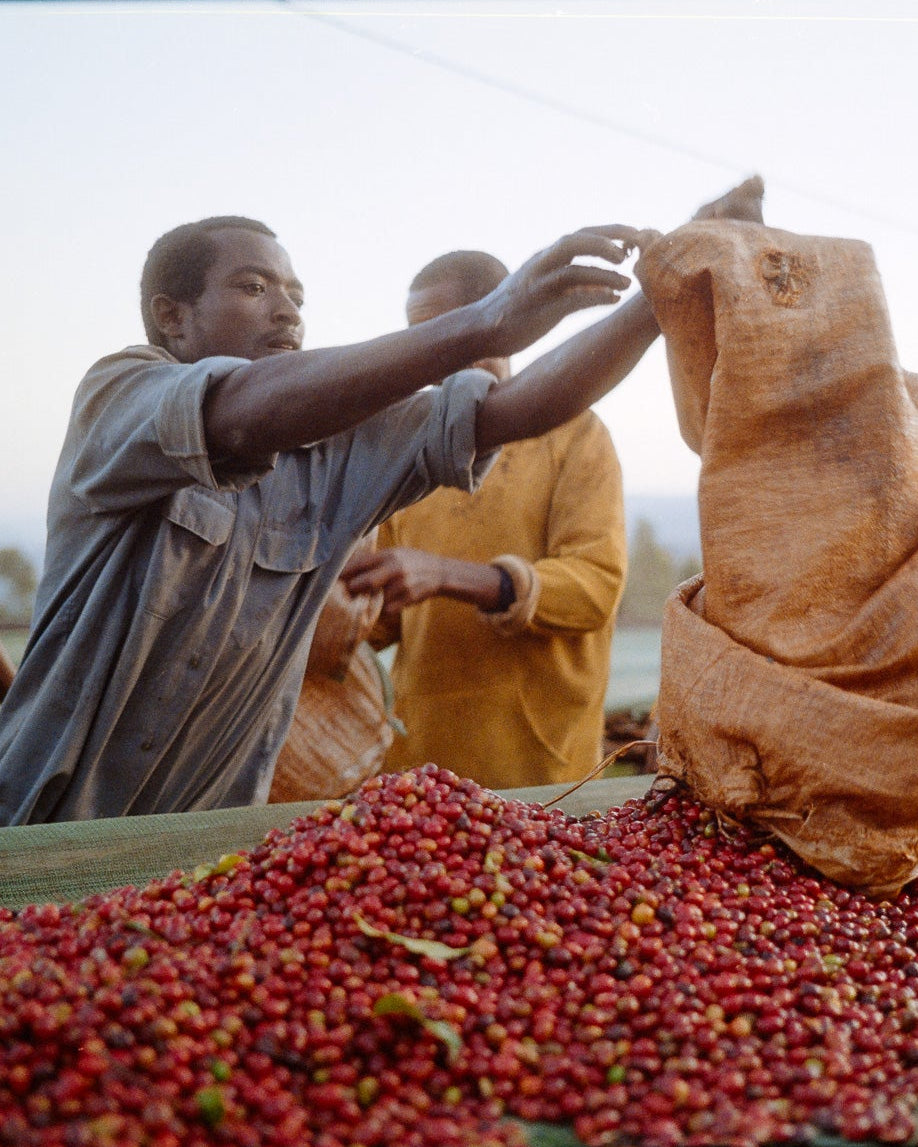 Explore, COFFEE SUBSCRIPTION