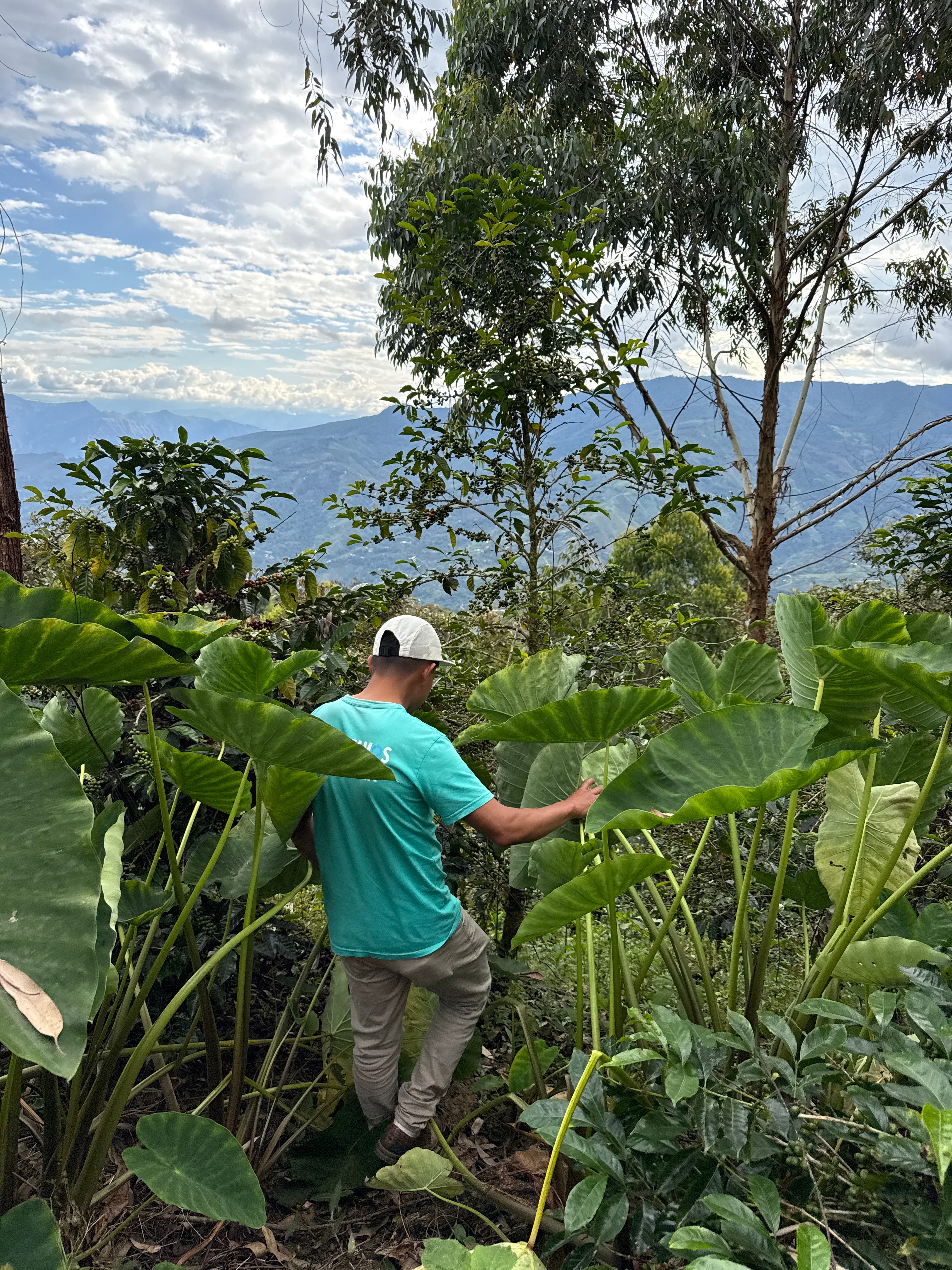 Manuel Baca Pacamara, Peru