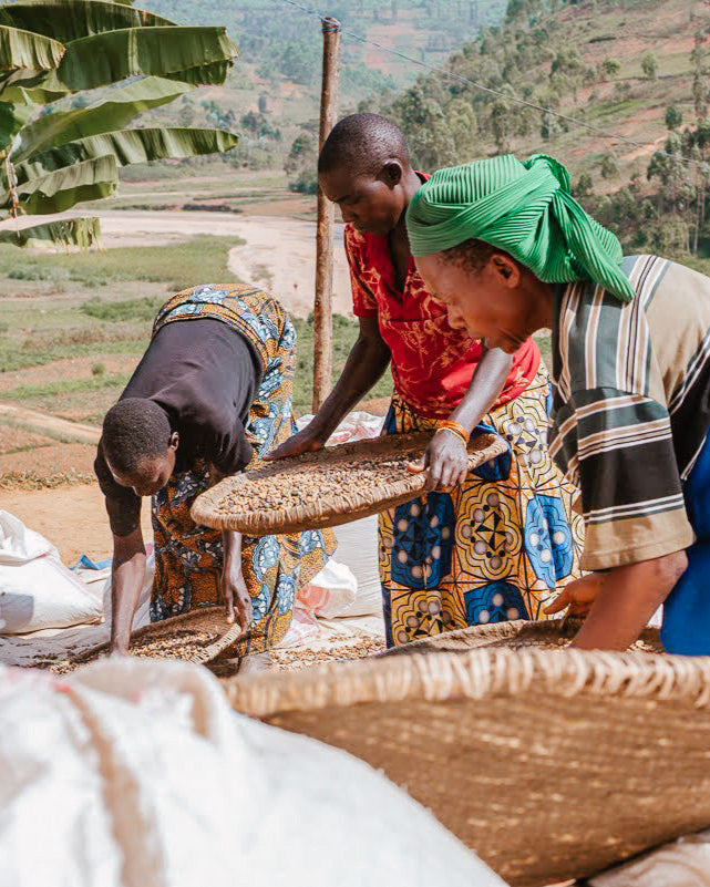 Explore, COFFEE SUBSCRIPTION - Yallah Coffee