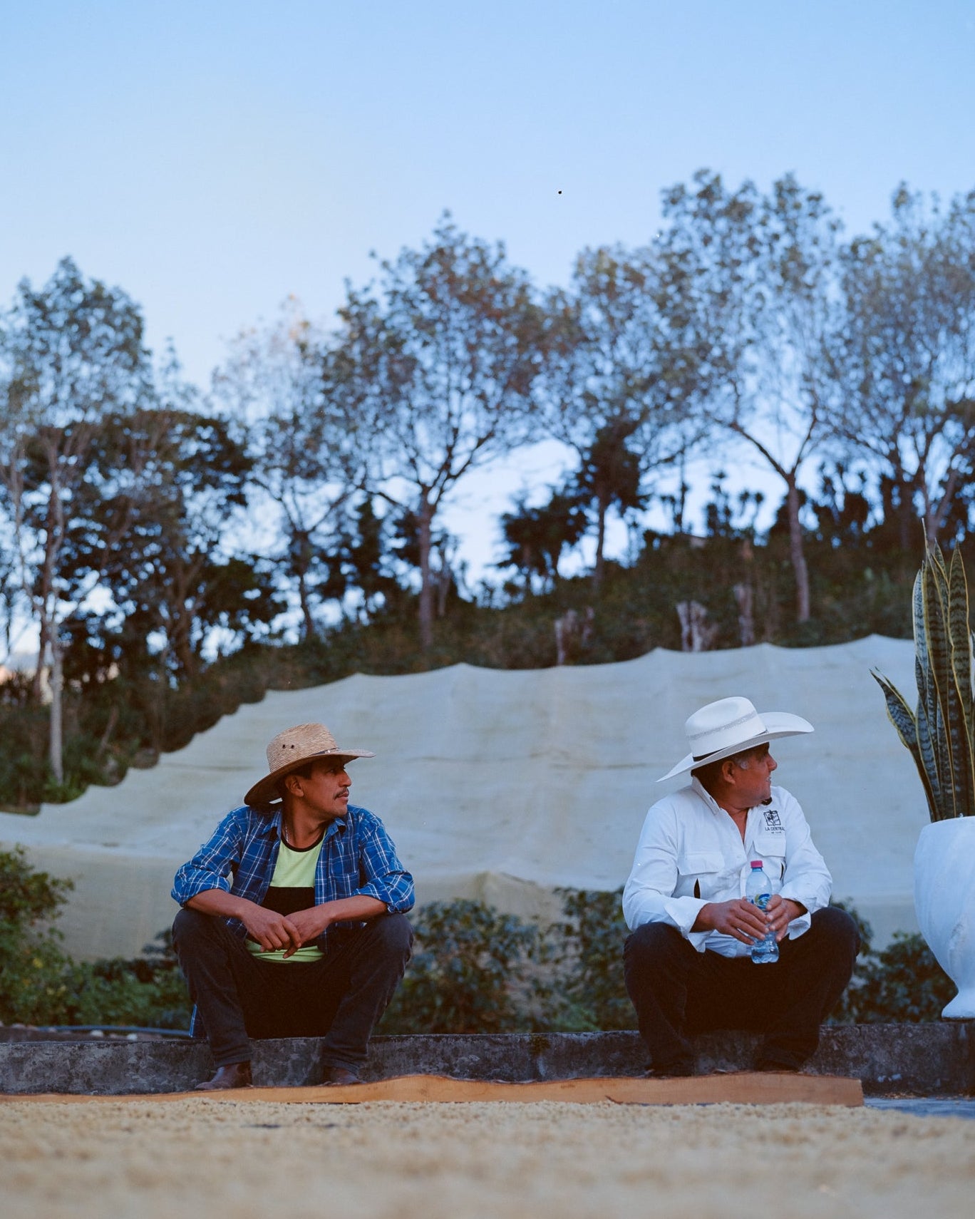 los arcos farm guatemala