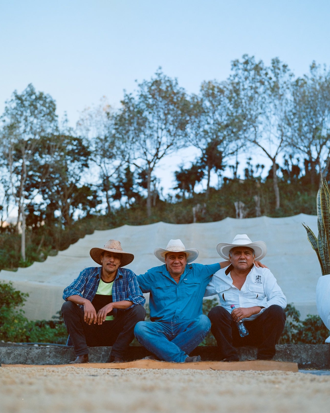 guatemala los arcos coffee