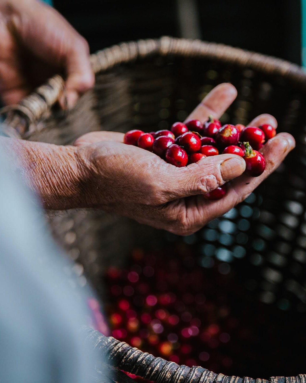 Villamaria, Colombia - Yallah Coffee