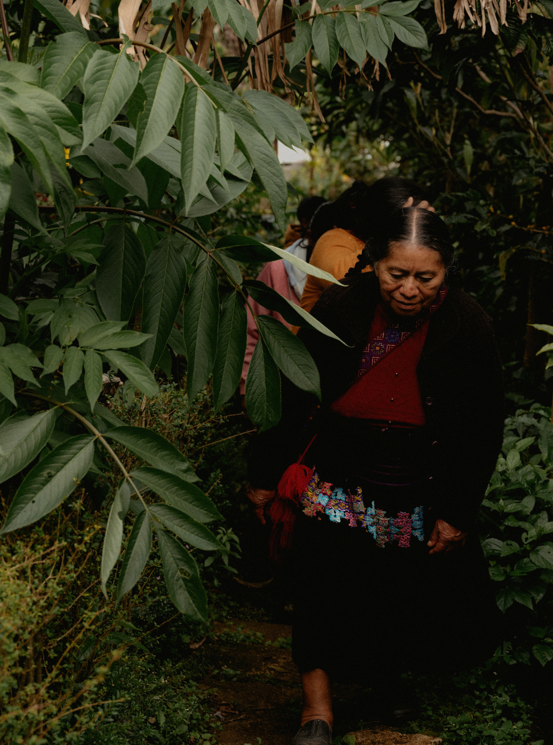 Explore, COFFEE SUBSCRIPTION