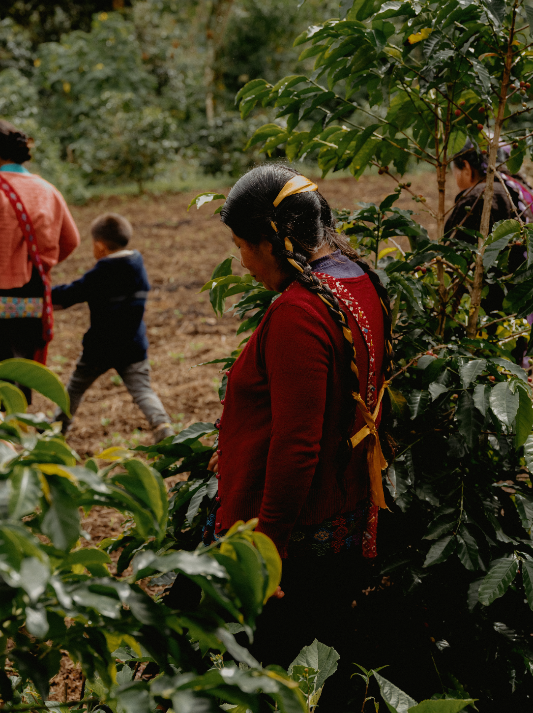 Explore, COFFEE SUBSCRIPTION