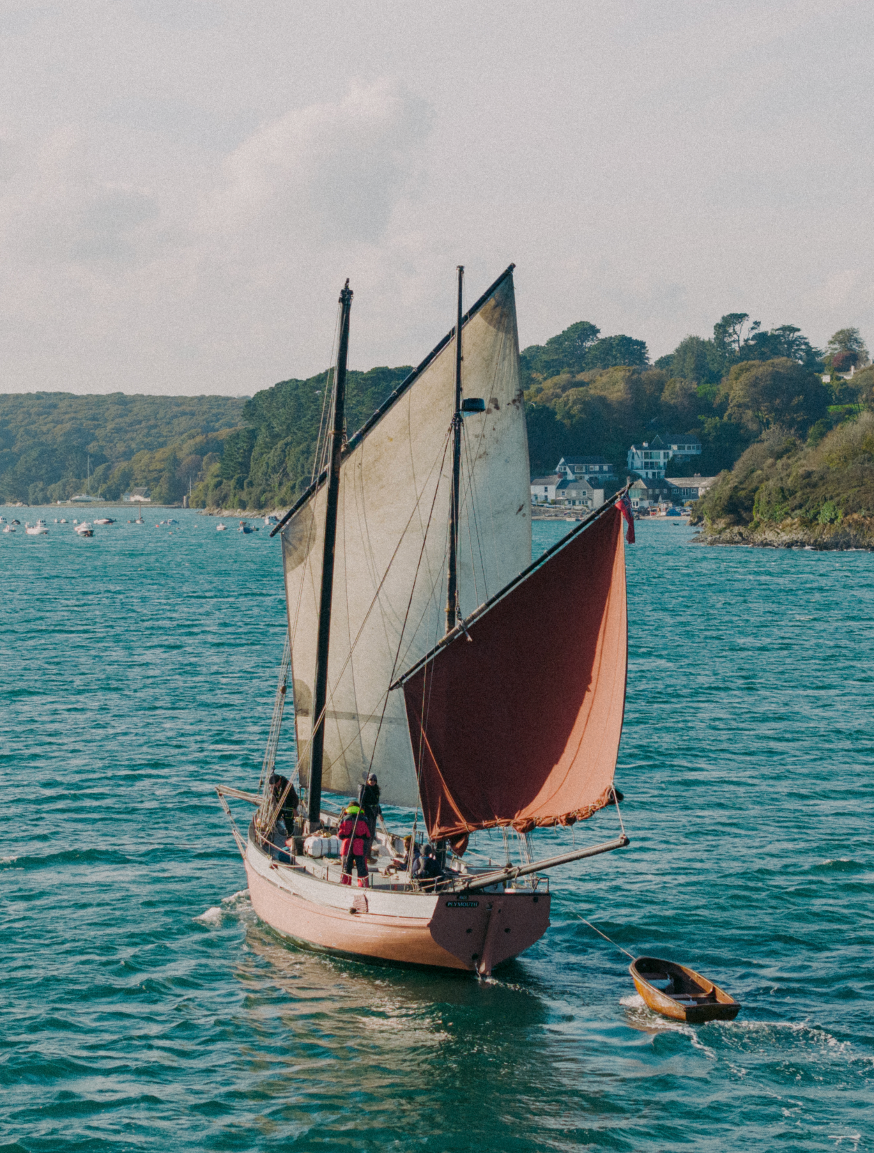 Narino, Sailship - Yallah Coffee
