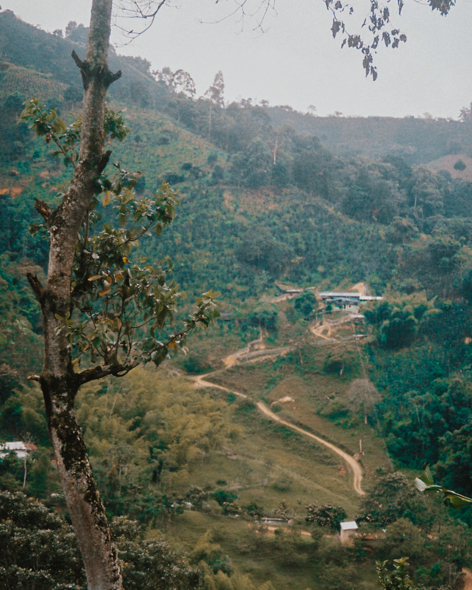 Win a trip to Colombia - Yallah Coffee