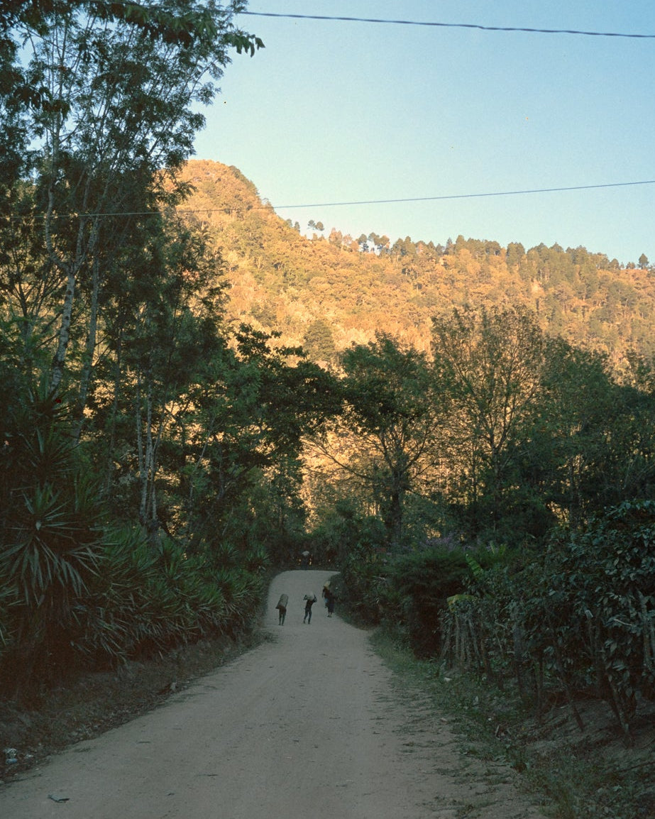 Explore, COFFEE SUBSCRIPTION
