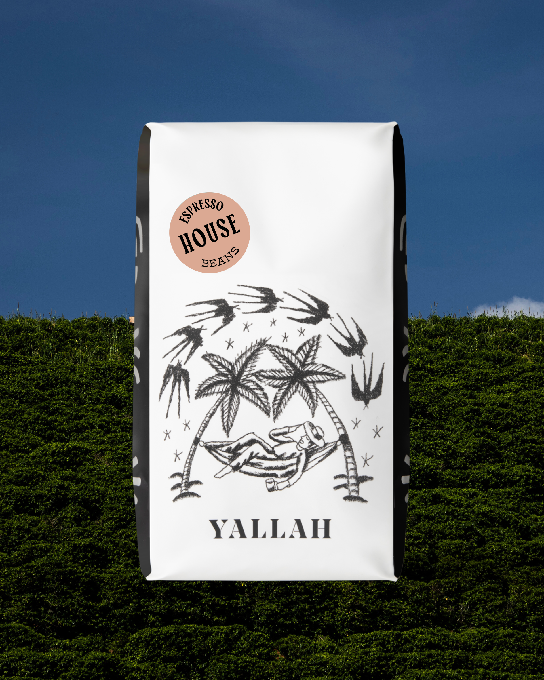 House Espresso, Nicaragua - Yallah Coffee