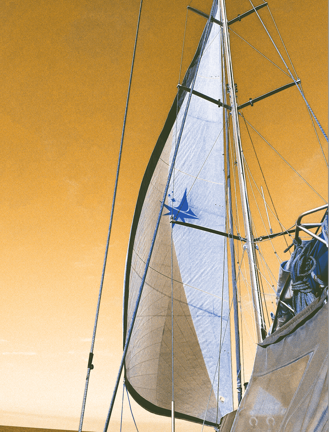 Tojtik, Sailship - Yallah Coffee