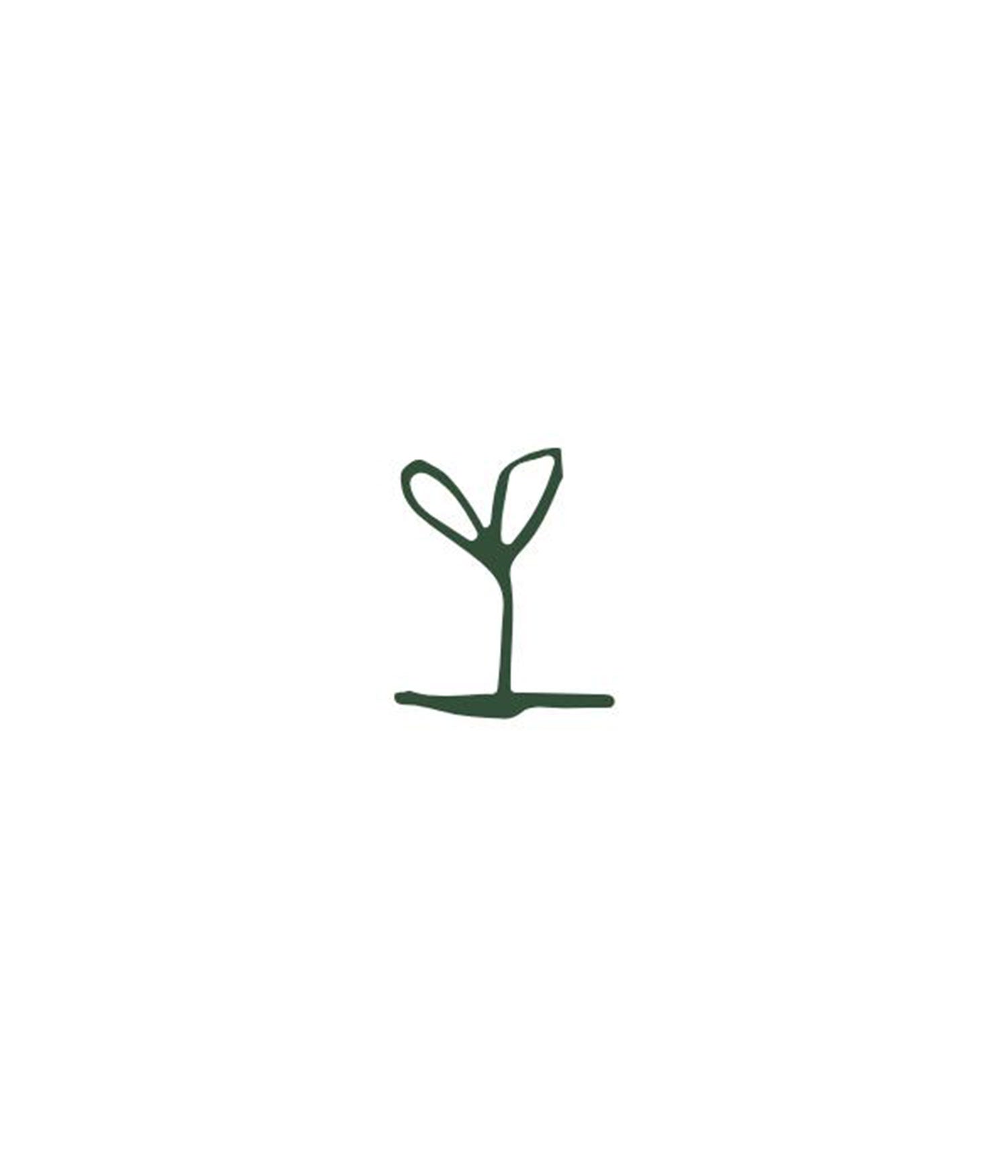 Trees for our grove - Yallah Coffee