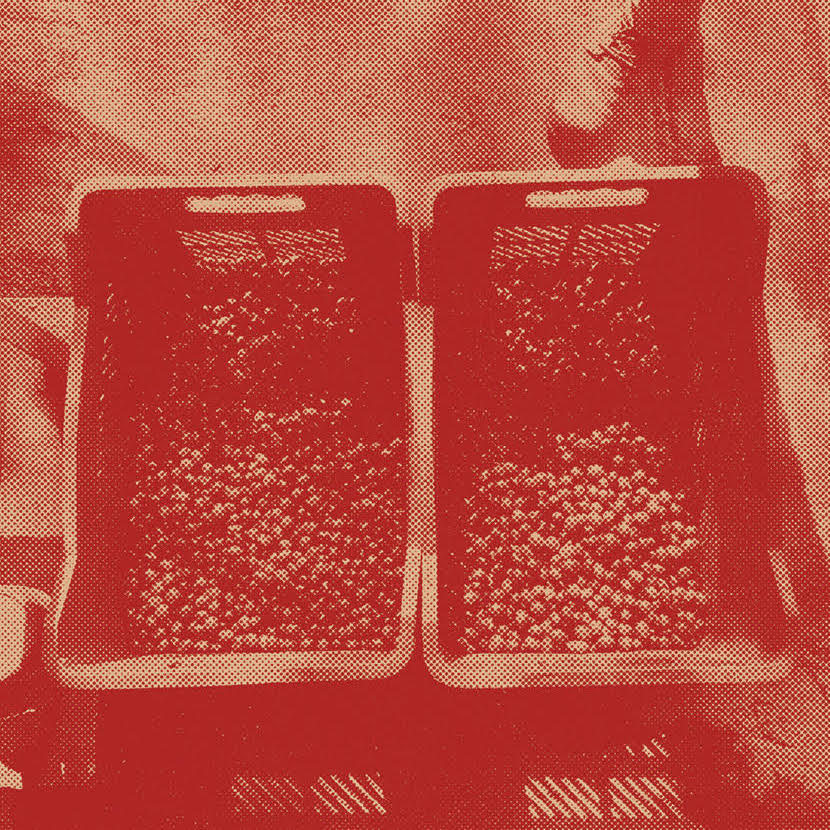 In Conversation With Mark from Khipu Coffee