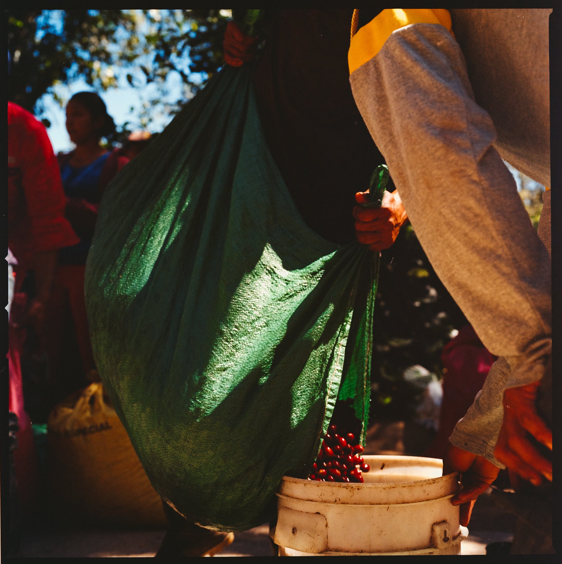 Explore, COFFEE SUBSCRIPTION