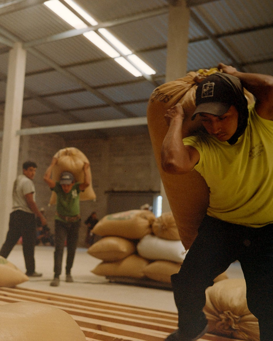 Tinamit Toliman, Guatemala - Yallah Coffee