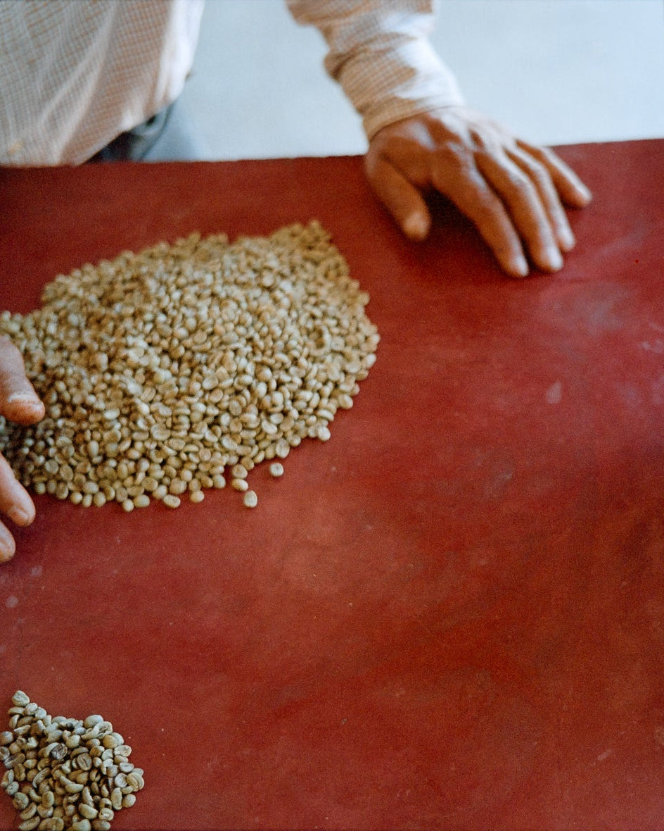 LOS ARCOS, GUATEMALA - Yallah Coffee