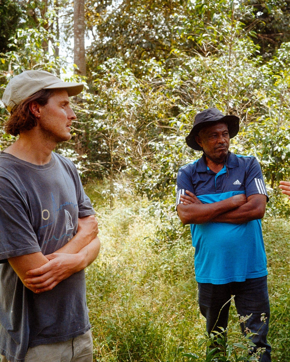 Taferi Kela (washed), Ethiopia