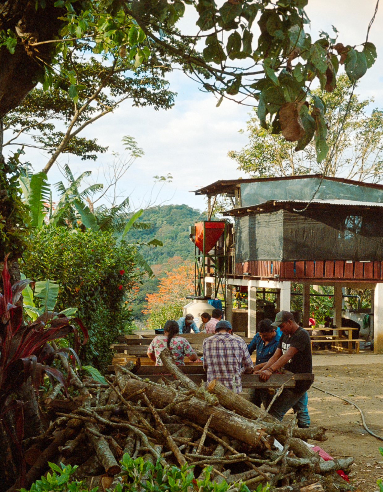 House Espresso, Nicaragua