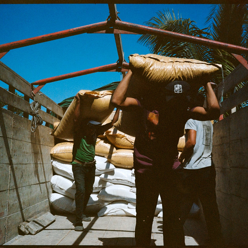 LOS ARCOS, GUATEMALA - Yallah Coffee