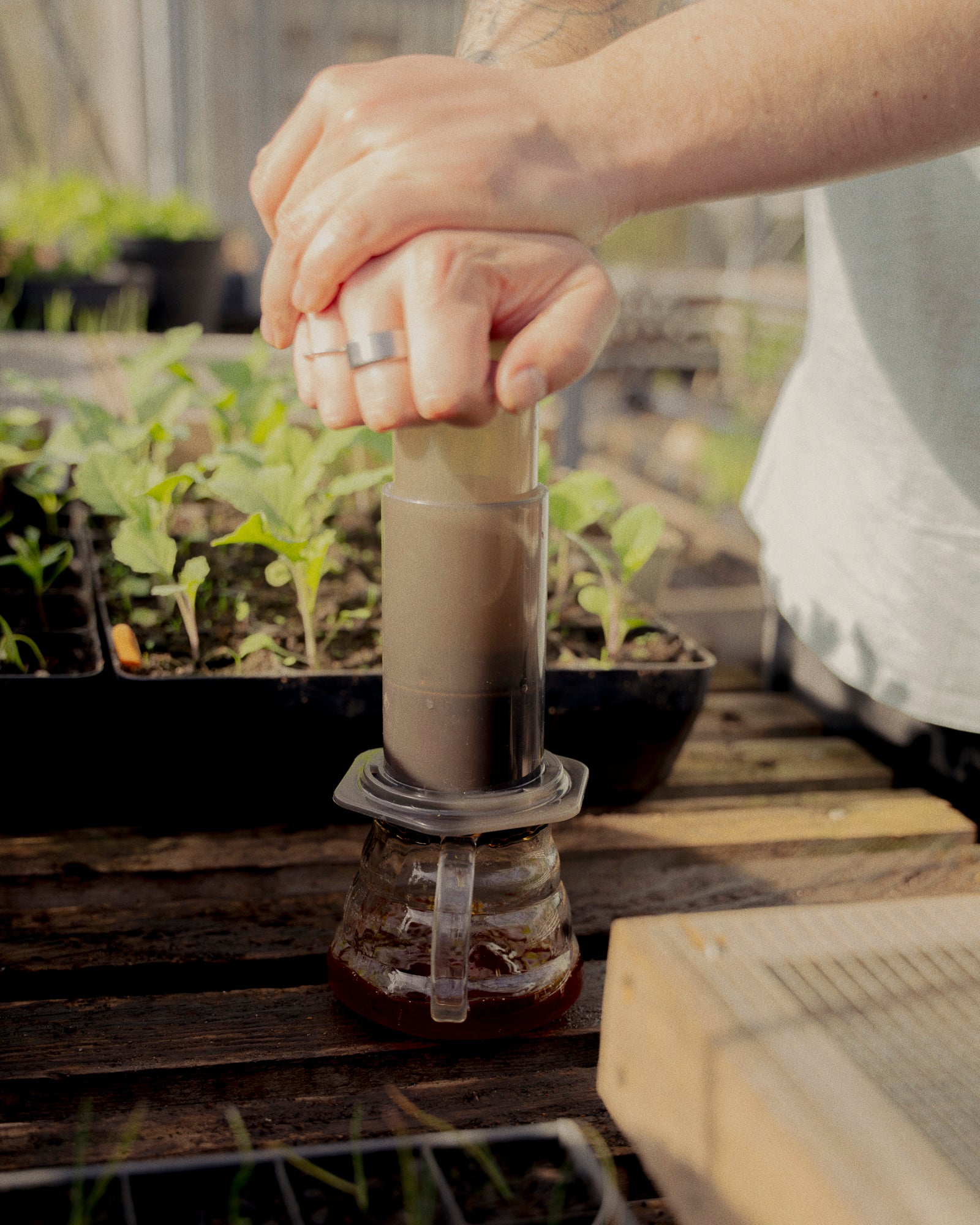 Aeropress