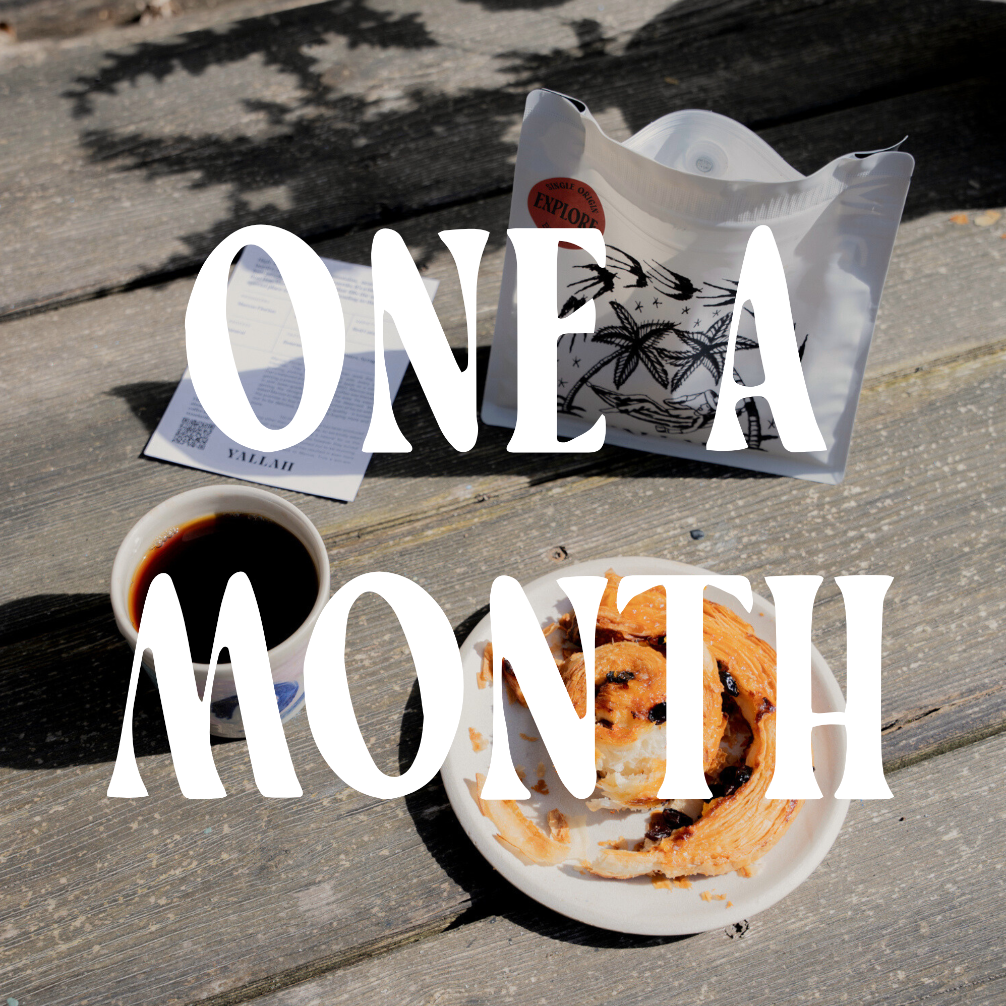 A Bag a Month Subscription