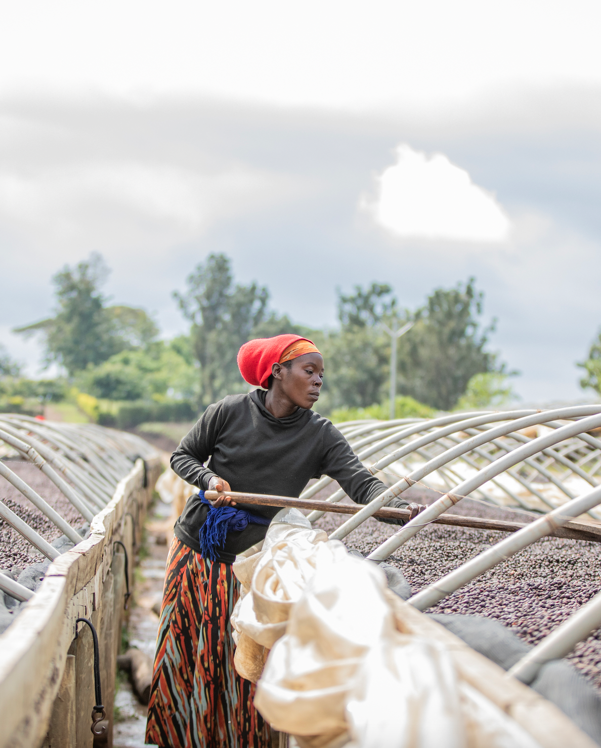 Explore, COFFEE SUBSCRIPTION - Yallah Coffee