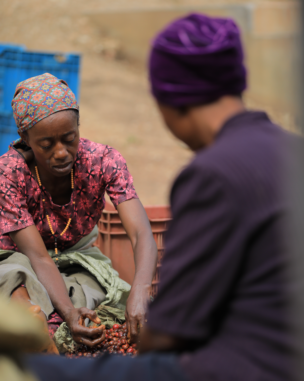 Explore, COFFEE SUBSCRIPTION - Yallah Coffee