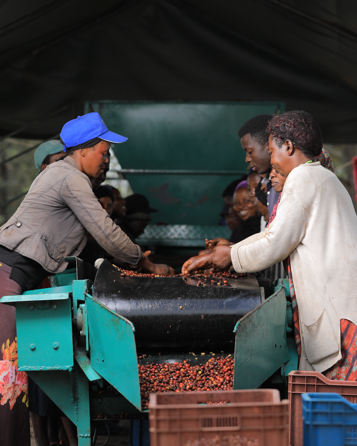 Explore, COFFEE SUBSCRIPTION - Yallah Coffee