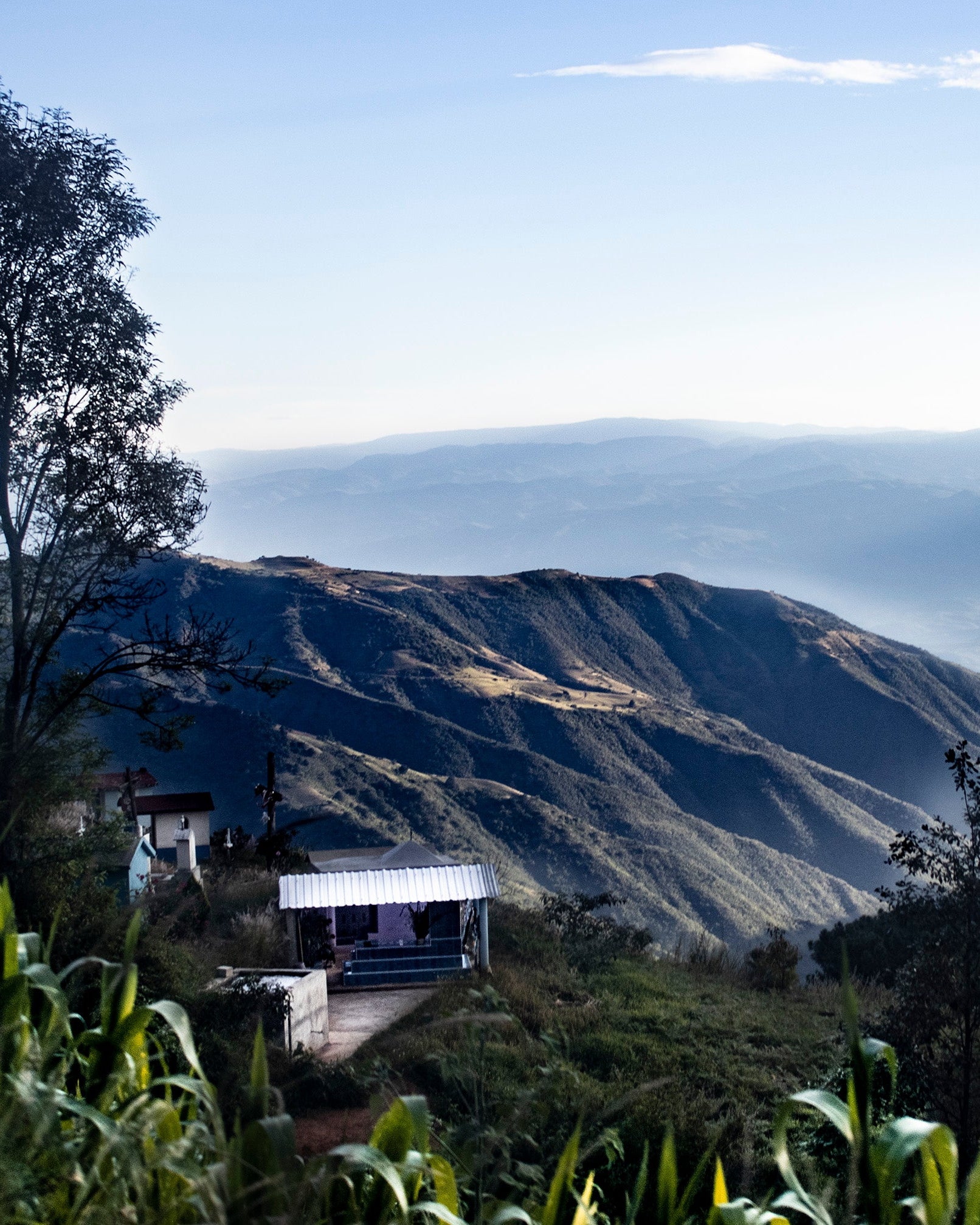 San Juan, Mexico - Yallah Coffee