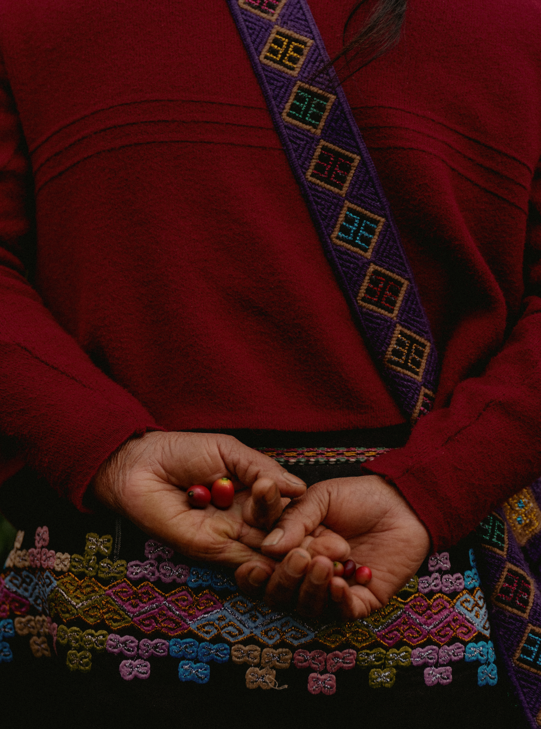 Explore, COFFEE SUBSCRIPTION