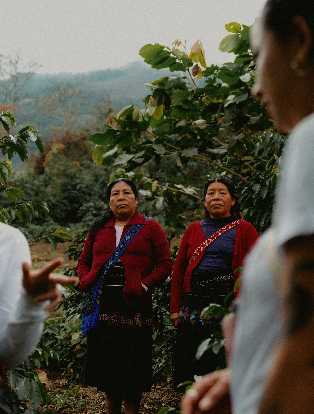 Explore, COFFEE SUBSCRIPTION