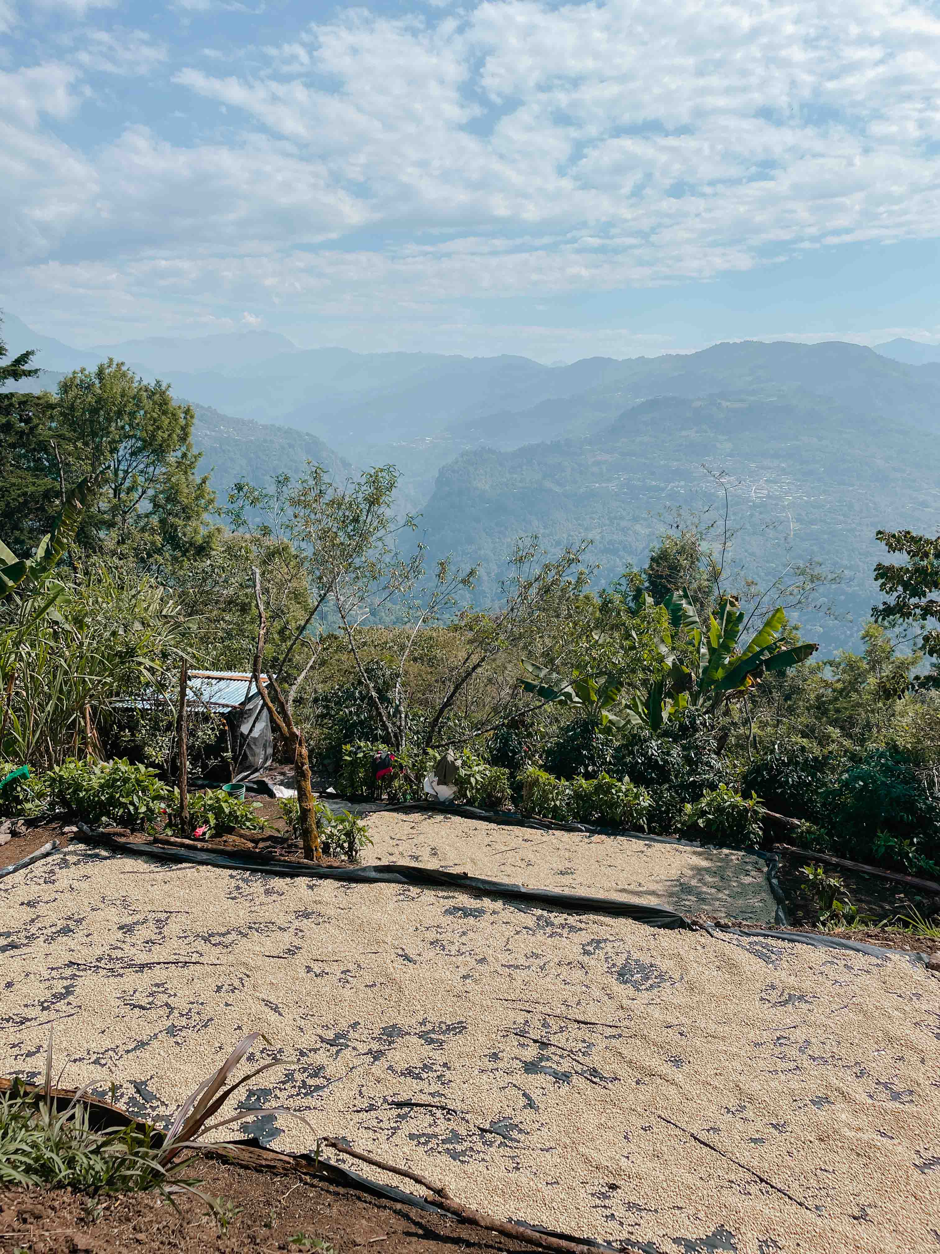 Catarina Mendez, Guatemala