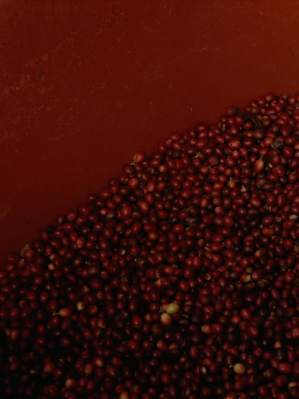 Huehuentones, Mexico - Yallah Coffee