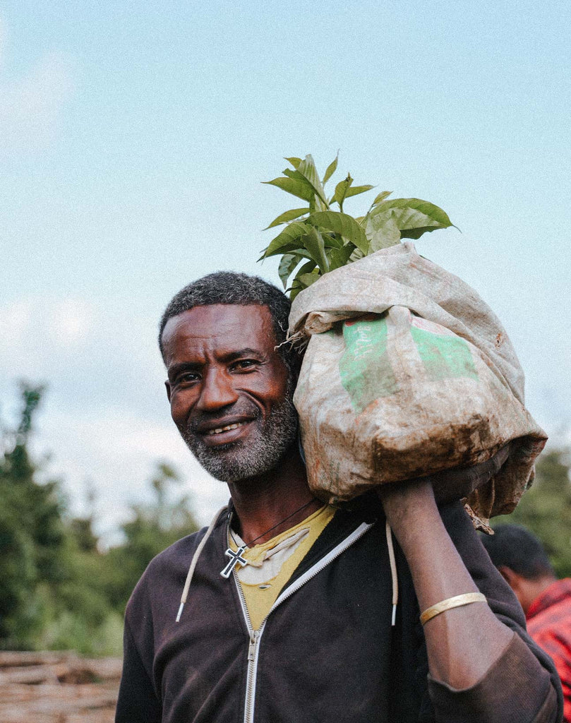 bette buna, ethiopia