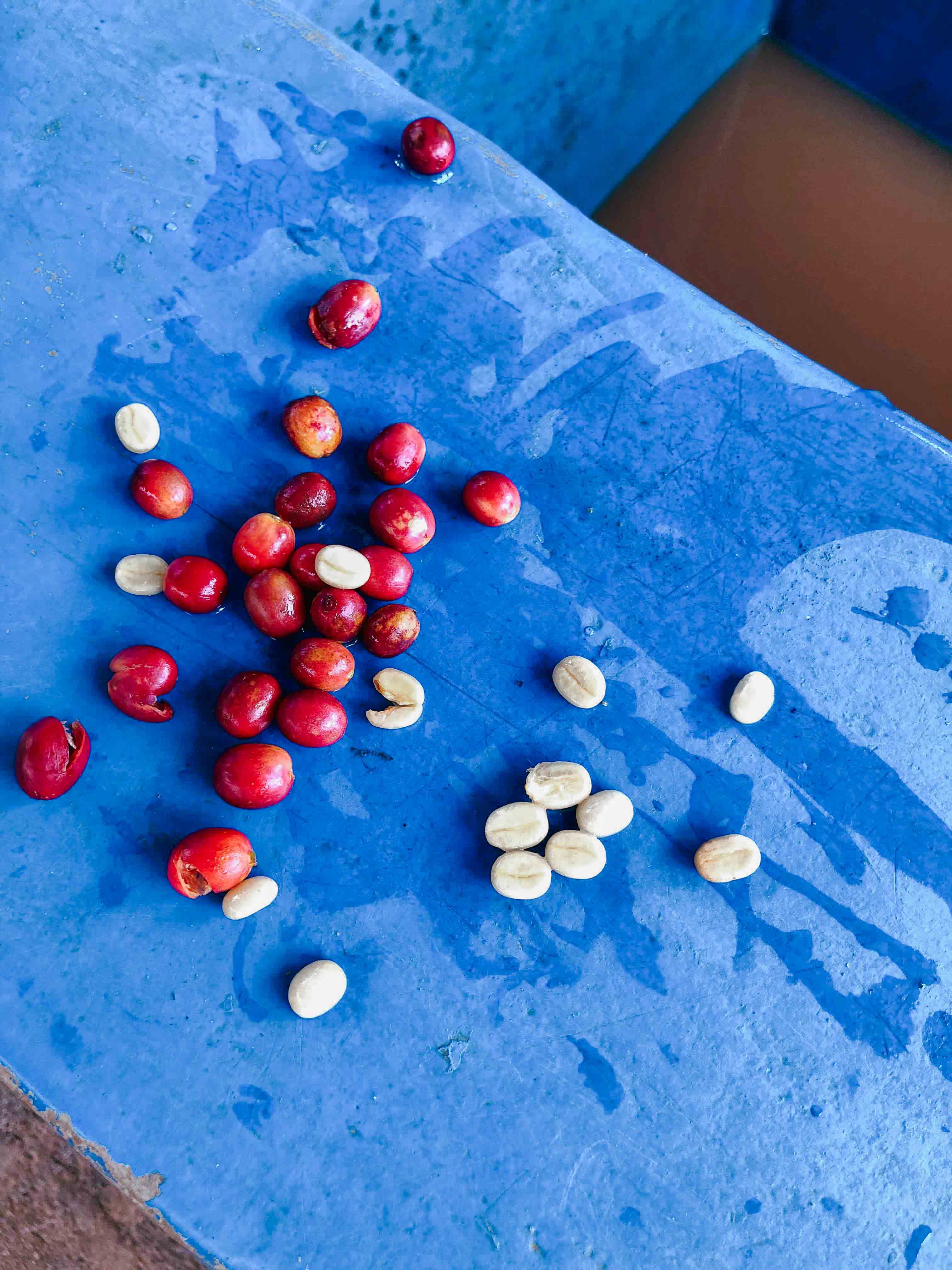 Shyira, Rwanda - Yallah Coffee