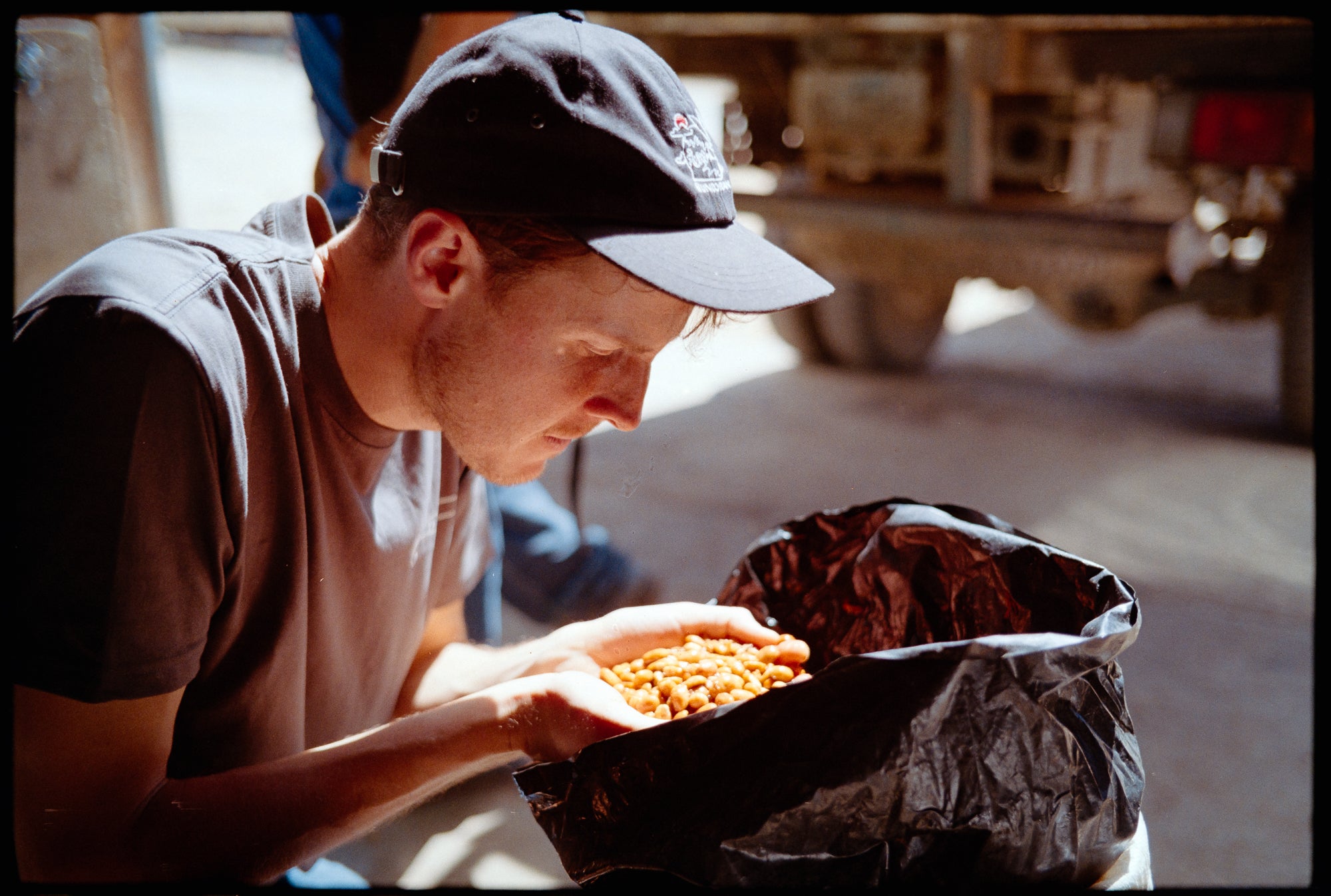 Soil & Sand Book - Yallah Coffee